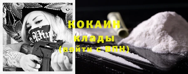 крисы Елабуга