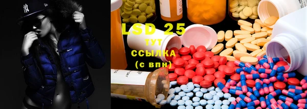 крисы Елабуга