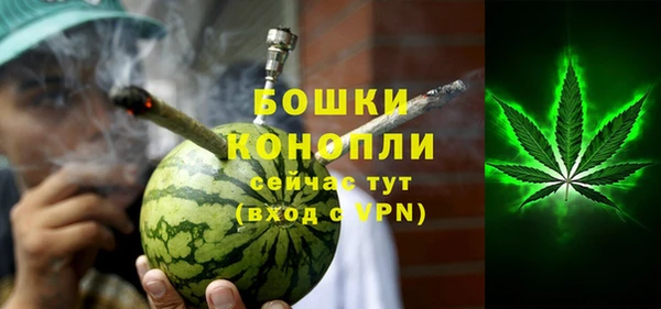 индика Ельня