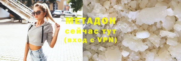 индика Ельня