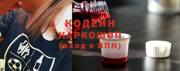 крисы Елабуга