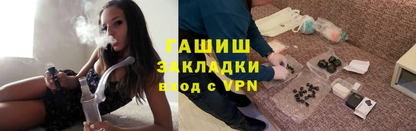 индика Ельня