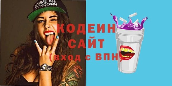 индика Ельня