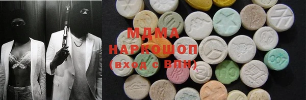 индика Ельня