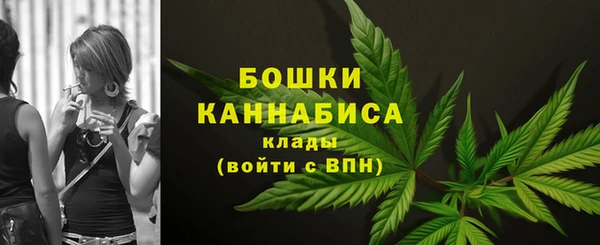 индика Ельня