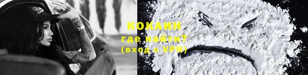 крисы Елабуга