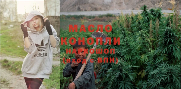 индика Ельня