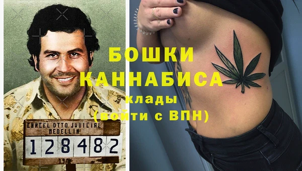 индика Ельня