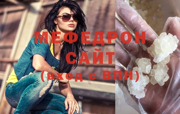 индика Ельня