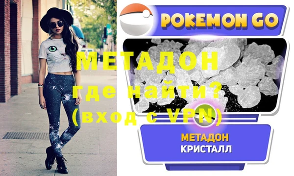 индика Ельня