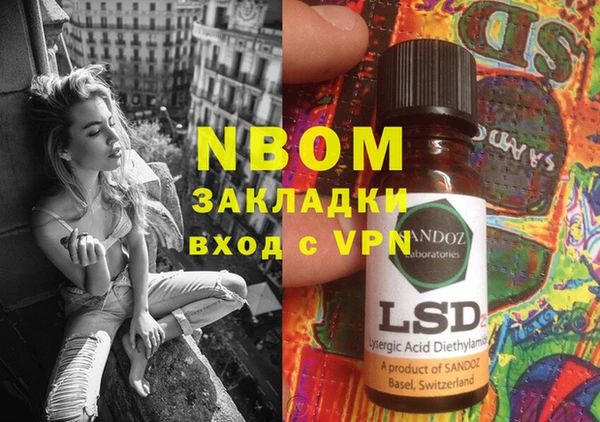 индика Ельня