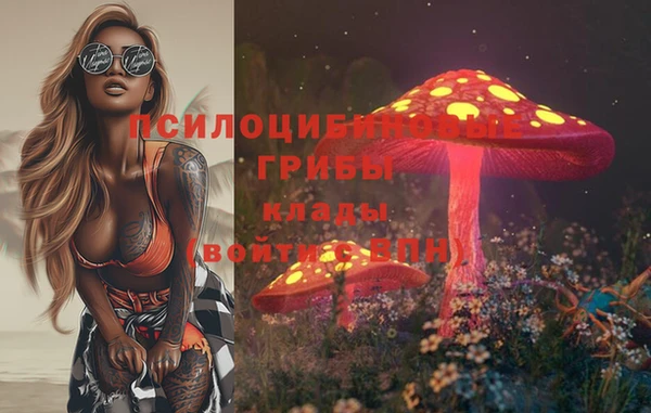 марки lsd Елизово