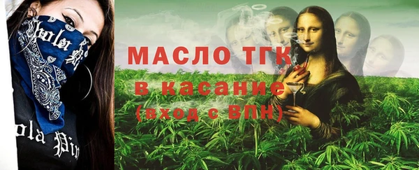 крисы Елабуга
