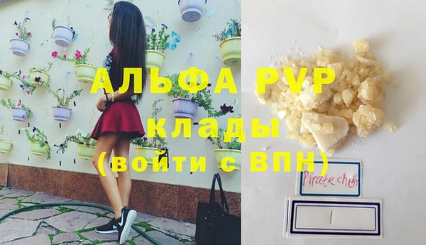 индика Ельня
