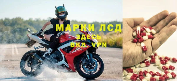крисы Елабуга