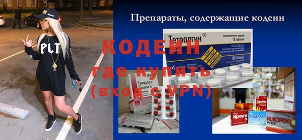 индика Ельня