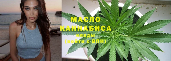 крисы Елабуга