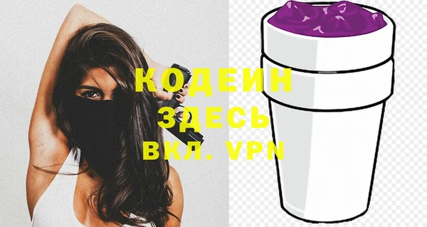 индика Ельня