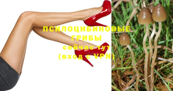 крисы Елабуга