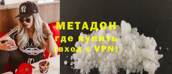индика Ельня