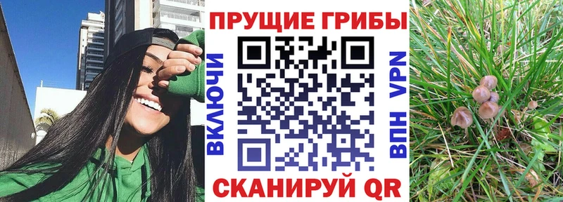 Галлюциногенные грибы мухоморы  Купить  Ряжск 